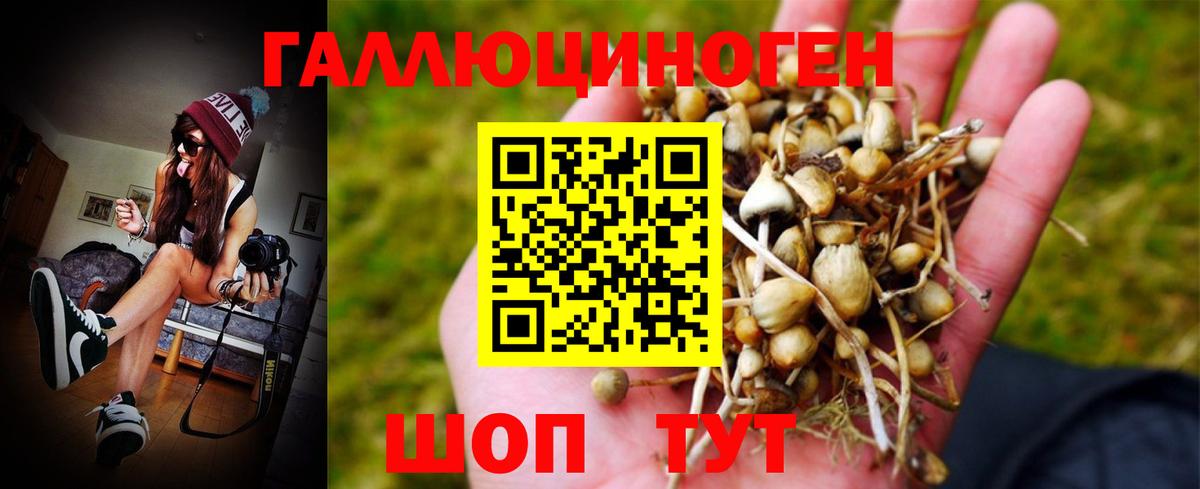 Псилоцибиновые грибы MAGIC MUSHROOMS Сегежа